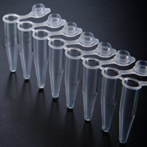 0.2 ml 12-Tube PCR Strips and Domed Cap Strips, high profile
